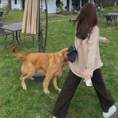 哈根